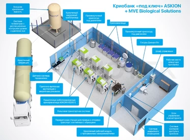 ASKION + MVE Cryobank