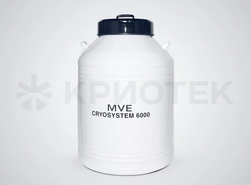 MVE CryoSystem 6000