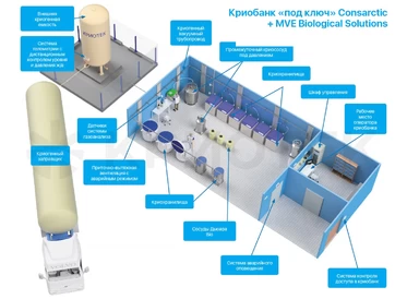 MVE + Consarctic Cryobank