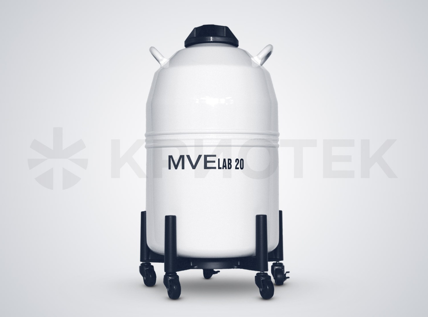 The MVE Lab 20 Dewar vessel